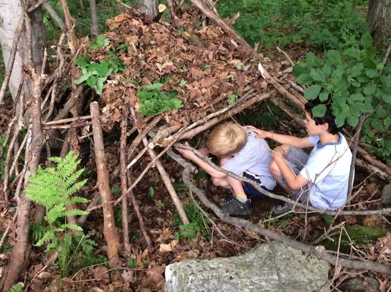 Cabane en foret